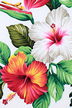 Brightly colored hibiscus, bird of paradise and orchids amongst ferns and leaves. 