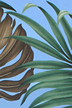 Hawaiian Tropical fabrics Monstera ferns and palm fronds.