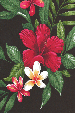 10'u hene Tropical Hawaiian heliconia, hibiscus and plumeria flowers on an apparel.