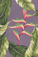 11palule Tropical Heliconia flowers, banana leaf, apparel cotton, Hawaiian vintage style fabric.