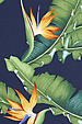 20eleu Bird of paradise flowers & banana leaves, apparel cotton, Hawaiian vintage style fabric 