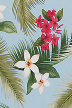 Plumeria (frangipani) and palm fronds.