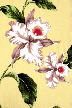 50'okika Barkcloth Hawaii - Hawaiian vintage style fabric with orchid flowers - cotton broadcloth