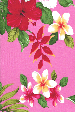 60olo olo Tropical Hawaiian heliconia, hibiscus and plumeria flowers on an apparel.