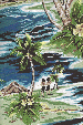 70isles Hawaiian vintage style fabric