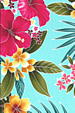 80ukuhi Tropical Hawaiian heliconia, hibiscus and plumeria flowers on an apparel.