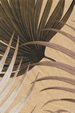 Kailua Butter Hawaiian vintage Leafy Palm Frond Upholstery Nubby Barkcloth
