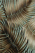 Mana Sea Foam Tropical leaves on cotton nubby bark cloth - upholstery.