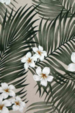 30 Plumeria Palm Natural - Plumeria Flowers on a cotton canvas fabric 