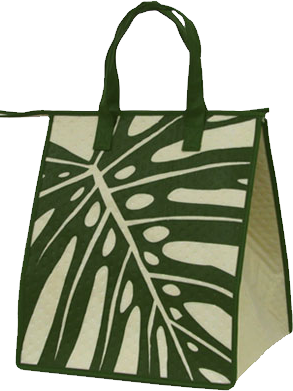 recycleable insulated zippered bag