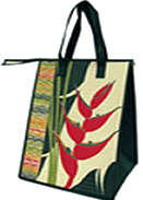 recycleable insulated zippered bag