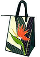 recycleable insulated zippered bag