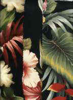 Dark Strips 25count