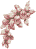 Ginger Flower Motifs