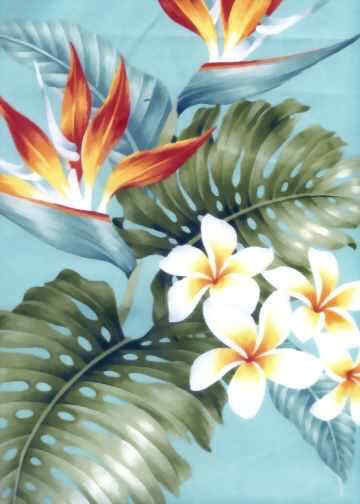 Click for an overall view