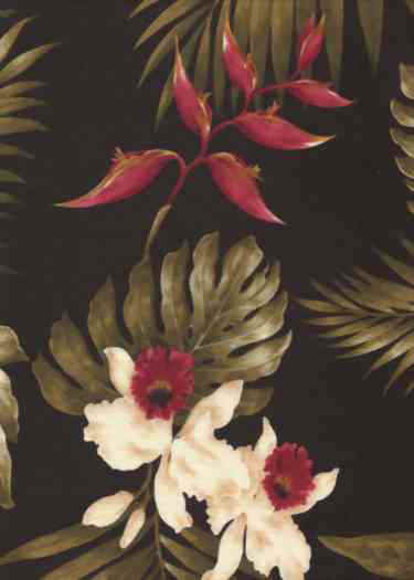 Click here for an overall view