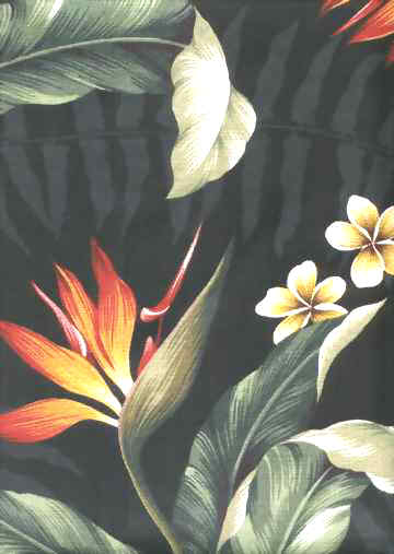 Click for an overall view