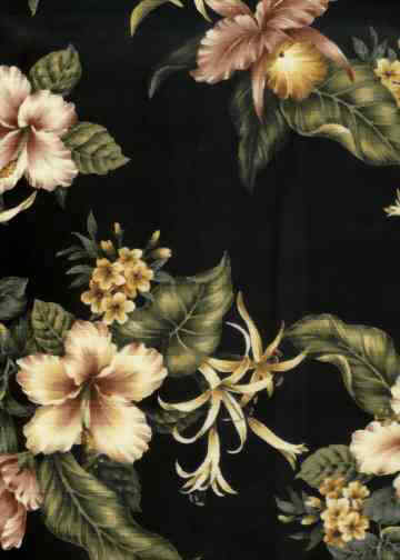 Click here for an overall view