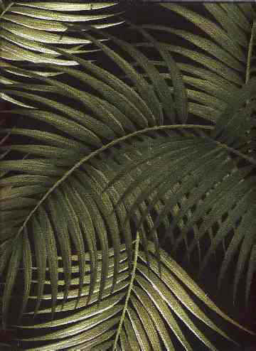Click here for an overall view