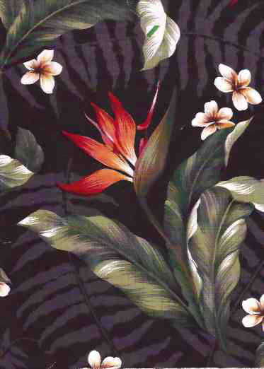 Click here for an overall view