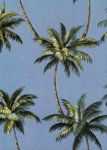 Click for an overall view.