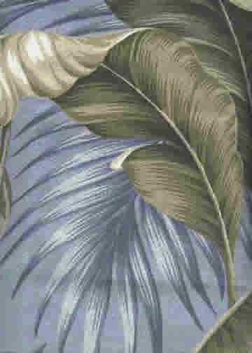 Click here for an overall view