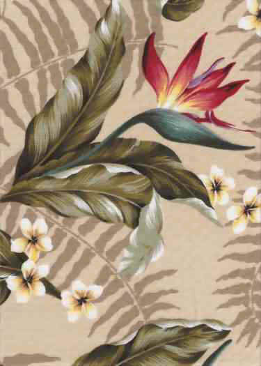 Click here for an overall view