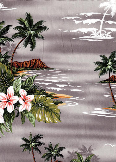 Hawaiian Scene landscape of Diamond Head Palm Trees & Tropical flowers 