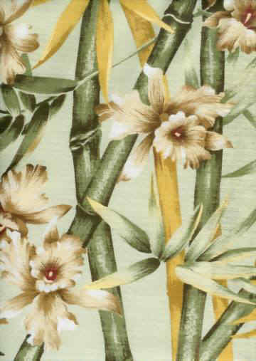 Click for an overall view