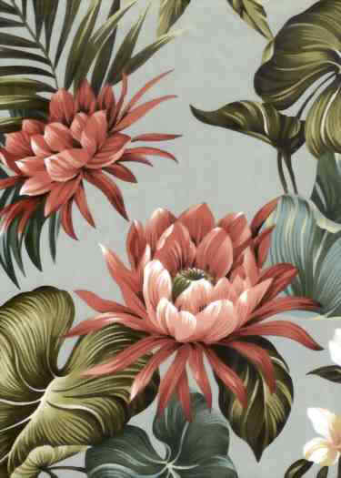 Click for an overall view