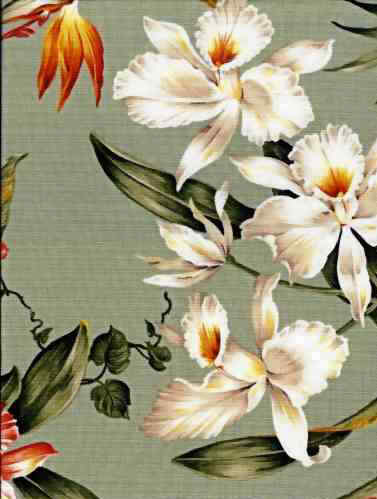 Click for an overall view