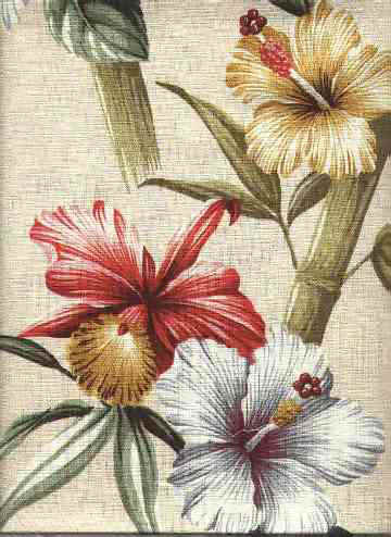 Click here for an overall view