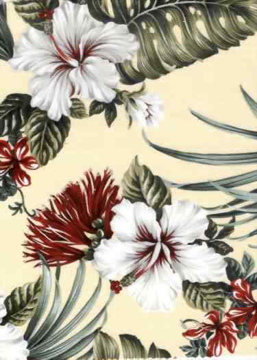 Click here for an overall view