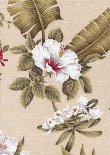 Click here for an overall view