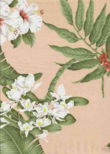 Click here for an overall view