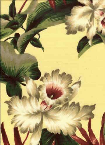 Click for an overall view