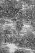 Black & white tropical hawaiian toile