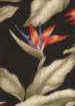 10bahama breeze bird of paradise flowers on a black, Hawaiian vintage 55 inch width black backround non-upholstery barkcloth fabric