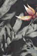 A heavier wide Rayon Tropical Flowered Fabric