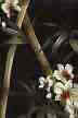 Use for upholstery, drapes, cushions, pillows, jackets, bags, tables