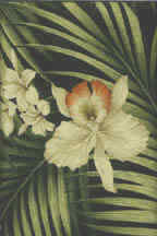Use for upholstery, drapes, cushions, pillows, jackets, bags, tables