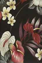 Anthurium Black Hawaiian vintage style fabric