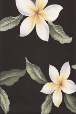 Plumeria Black hawaiian vintage style fabric