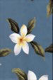 Plumeria Blue Hawaiian vintage plumeria flower fabric on a vintage style barkcloth fabric, blue background.