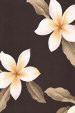 Plumeria Brown Hawaiian vintage Plumeria - Frangipani Flowers on a Brown colored cotton Upholstery Fabric