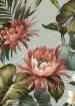 70 protea