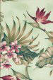 Vintatge Bird Of Paradise with Plumeria Flowers