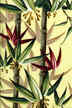 50bam Bamboo stalks with flowers on non-upholstery bark cloth fabric