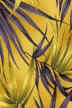 50ena Fronds &  Ferns on cotton poplin apparel fabric.