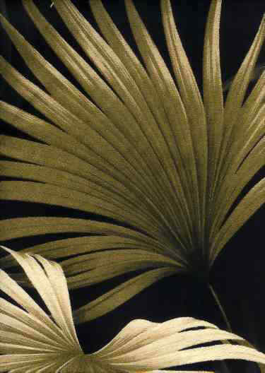 Click for an overall view
